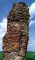 /album/kepgaleria/szerepi-csonka-jpg/